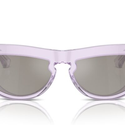Burberry Sunglasses (0BE4422U 40956G 58)