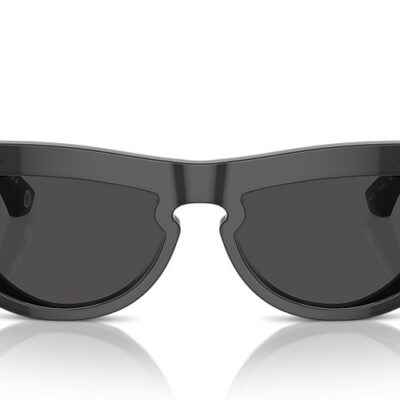 Burberry Sunglasses (0BE4422U 411287 58)
