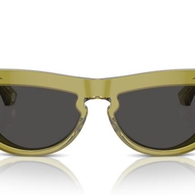 Burberry Sunglasses (0BE4422U 411887 58)