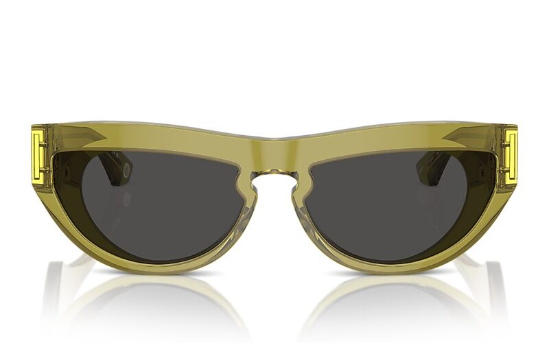 Burberry Sunglasses (0BE4422U 411887 58) Burberry Sunglasses (0BE4422U 411887 58)