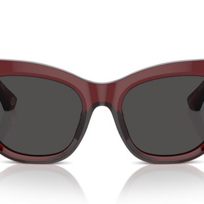 Burberry Sunglasses (0BE4423F 412887 52)