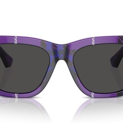 Burberry Sunglasses (0BE4424F 411387 52)