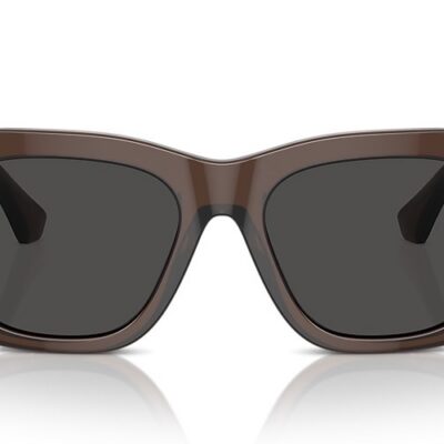 Burberry Sunglasses (0BE4424F 411687 52)