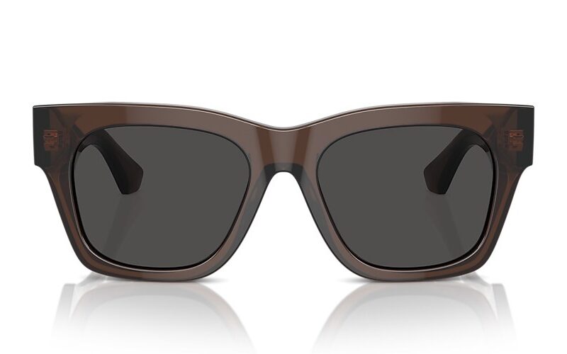 Burberry Sunglasses (0BE4424F 411687 52)