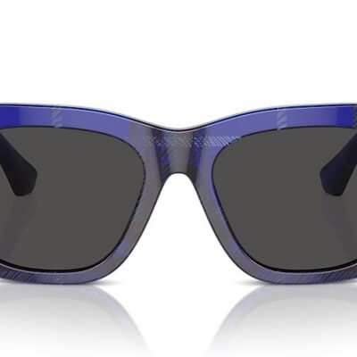 Burberry Sunglasses (0BE4424 411487 52)