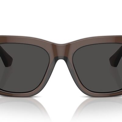 Burberry Sunglasses (0BE4424 411687 52)