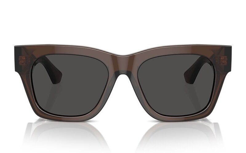 Burberry Sunglasses (0BE4424 411687 52)