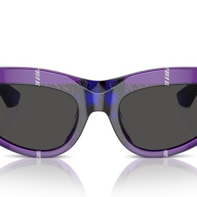 Burberry Sunglasses (0BE4425U 411387 55)