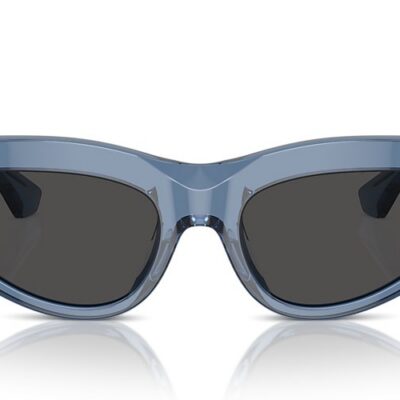 Burberry Sunglasses (0BE4425U 411787 55)