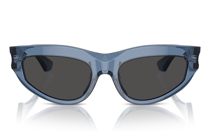 Burberry Sunglasses (0BE4425U 411787 55) Burberry Sunglasses (0BE4425U 411787 55)