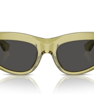Burberry Sunglasses (0BE4425U 411887 55)