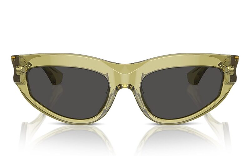 Burberry Sunglasses (0BE4425U 411887 55) Burberry Sunglasses (0BE4425U 411887 55)