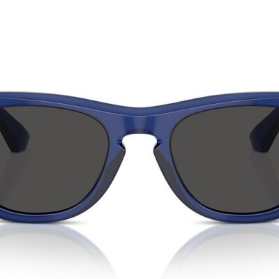 Burberry Sunglasses (0BE4426F 411087 50)