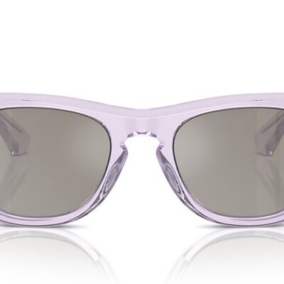 Burberry Sunglasses (0BE4426 40956G 50)