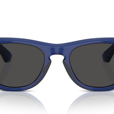 Burberry Sunglasses (0BE4426 411087 50)