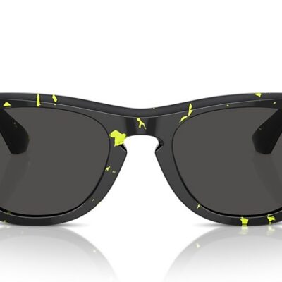 Burberry Sunglasses (0BE4426 412487 50)