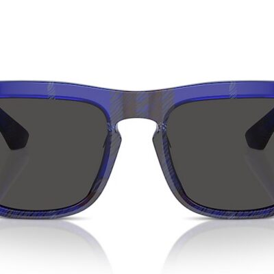 Burberry Sunglasses (0BE4431U 411487 56)