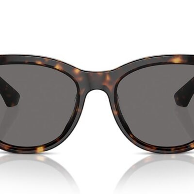 Burberry Sunglasses Polarized (0BE4432U 300281 54)