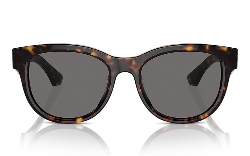Burberry Sunglasses Polarized (0BE4432U 300281 54) Burberry Sunglasses Polarized (0BE4432U 300281 54)