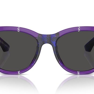 Burberry Sunglasses (0BE4432U 411387 54)