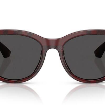 Burberry Sunglasses (0BE4432U 411587 54)