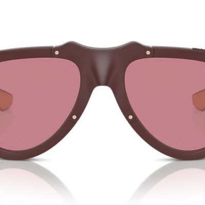 Burberry Sunglasses (0BE4433U 414075 57)