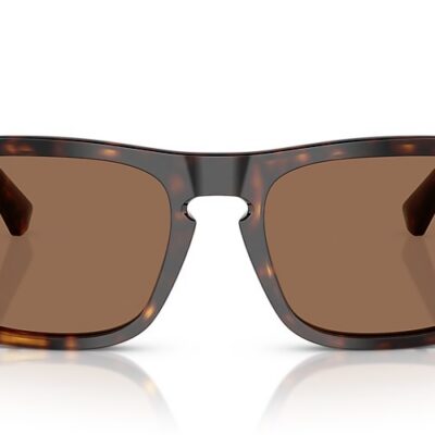 Burberry Sunglasses (0BE4434F 300273 57)