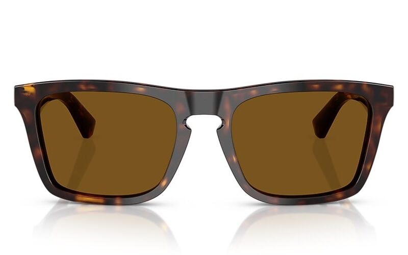 Burberry Sunglasses Polarized (0BE4434 300283 57) Burberry Sunglasses Polarized (0BE4434 300283 57)