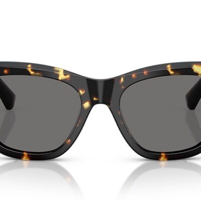 Burberry Sunglasses Polarized (0BE4435 410681 53)