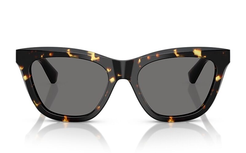 Burberry Sunglasses Polarized (0BE4435 410681 53) Burberry Sunglasses Polarized (0BE4435 410681 53)