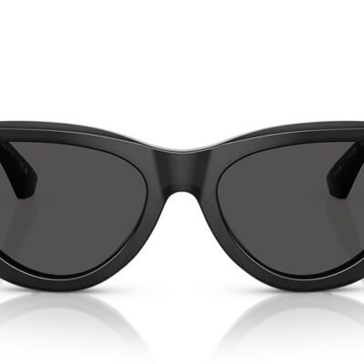 Burberry Sunglasses (0BE4436U 411287 55)