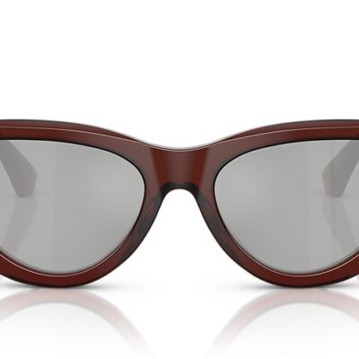 Burberry Sunglasses (0BE4436U 41448V 55)