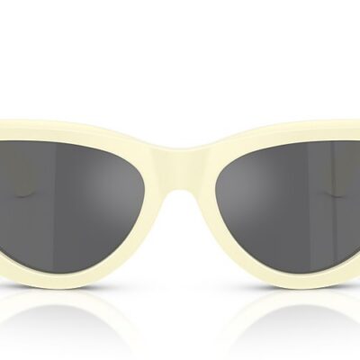 Burberry Sunglasses (0BE4436U 41456G 55)