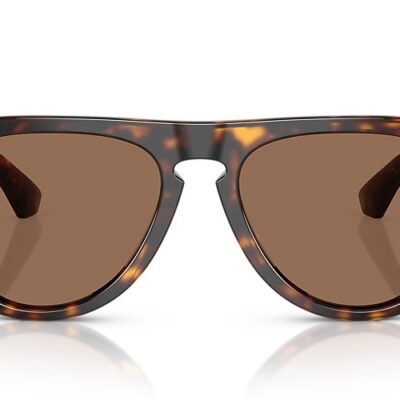 Burberry Sunglasses (0BE4437U 300273 55)
