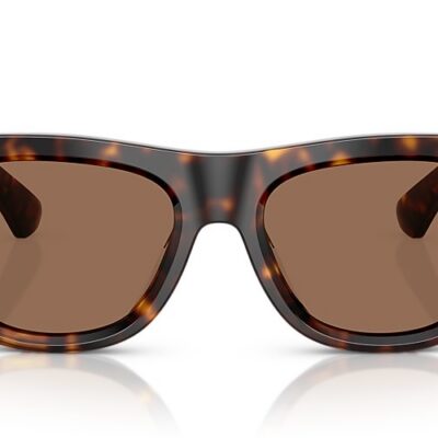 Burberry Sunglasses (0BE4438U 300273 53)