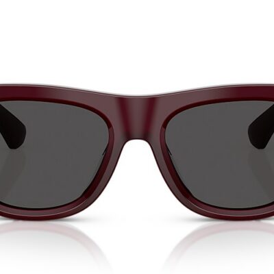 Burberry Sunglasses (0BE4438U 326587 53)