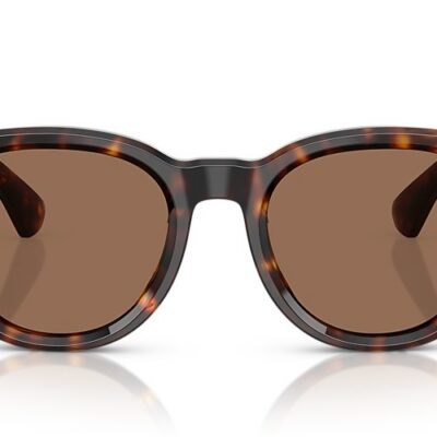 Burberry Sunglasses (0BE4439F 300273 51)