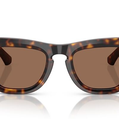 Burberry Sunglasses (0BE4440U 300273 51)