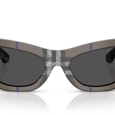Burberry Sunglasses (0BE4450U 414787 54)
