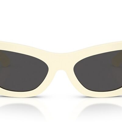 Burberry Sunglasses (0BE4450U 415887 54)