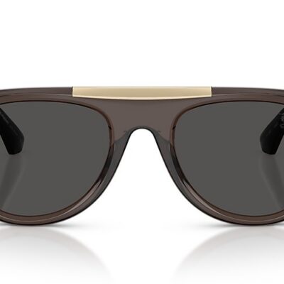 Burberry Sunglasses (0BE4452U 411287 53)