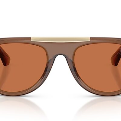 Burberry Sunglasses (0BE4452U 417373 53)