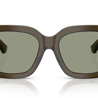 Burberry Sunglasses (0BE4453F 30102 54)