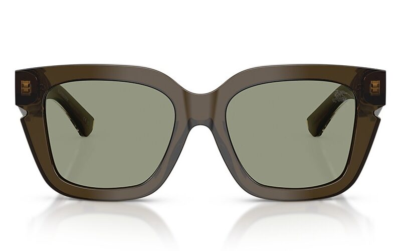 Burberry Sunglasses (0BE4453 30102 54) Burberry Sunglasses (0BE4453 30102 54)