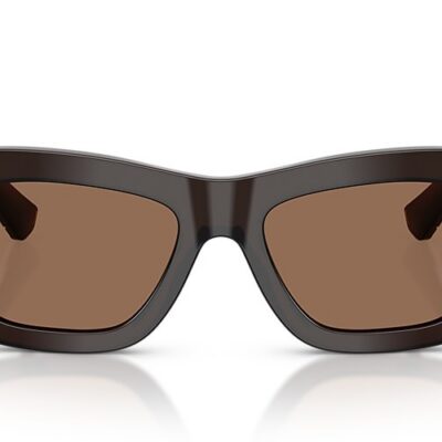 Burberry Sunglasses (0BE4454F 411673 51)