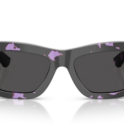 Burberry Sunglasses (0BE4454F 415987 51)