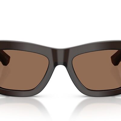 Burberry Sunglasses (0BE4454 411673 52)