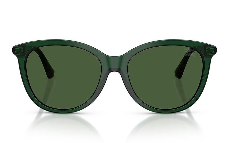 Burberry Sunglasses (0BE4455F 416271 55) Burberry Sunglasses (0BE4455F 416271 55)