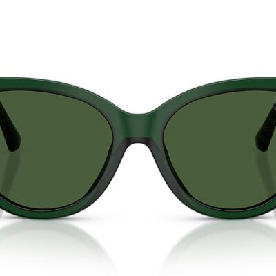 Burberry Sunglasses (0BE4457 416271 55)