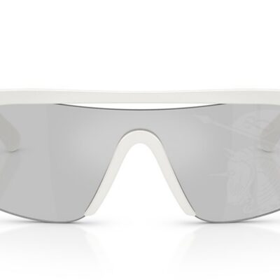 Burberry Sunglasses (0BE4460U 417269 40)